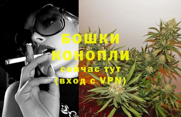 крисы Медногорск