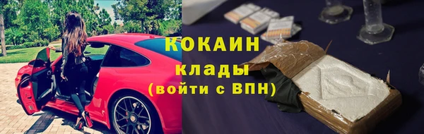 прущие грибы Мегион