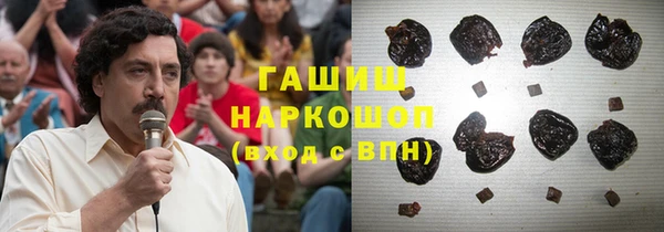 прущие грибы Мегион