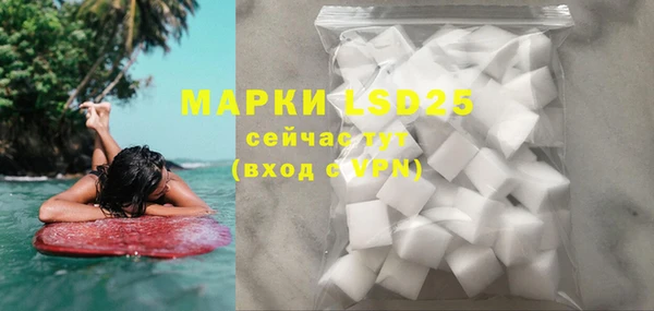 прущие грибы Мегион
