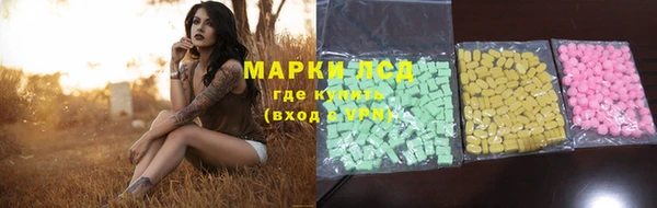 прущие грибы Мегион
