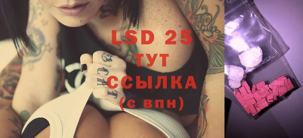 прущие грибы Мегион
