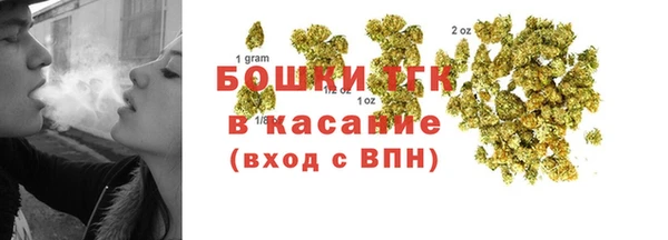 крисы Медногорск