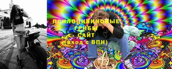 прущие грибы Мегион