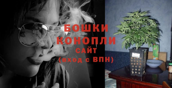 крисы Медногорск